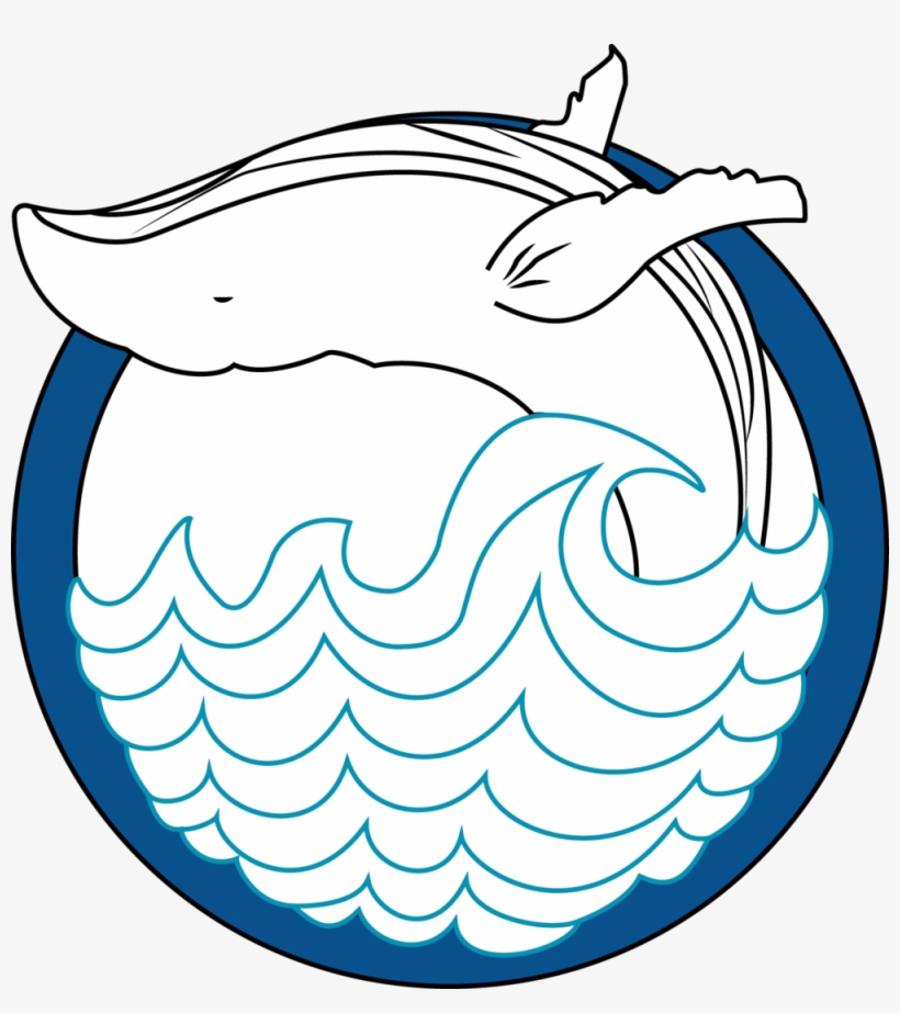 Blue Whale Png, transparent png