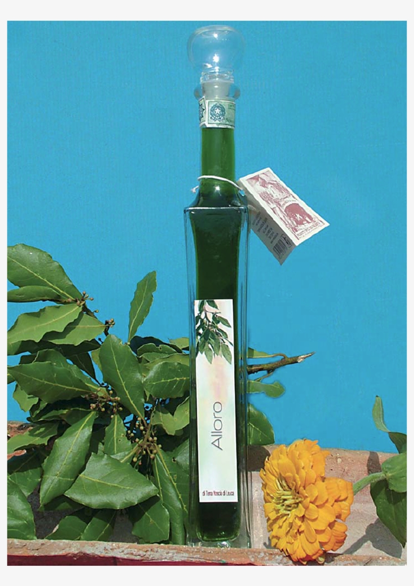 Liquor Alloro - Street Sign, transparent png