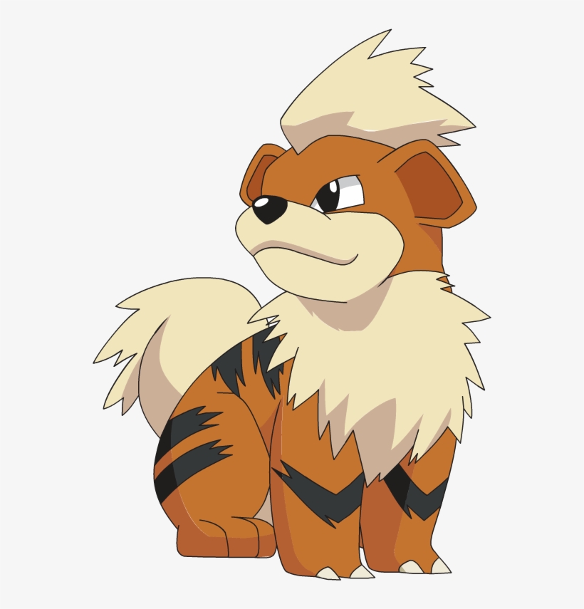 Growlithe Png Pokemon Growlithe 560x775 PNG Download PNGkit