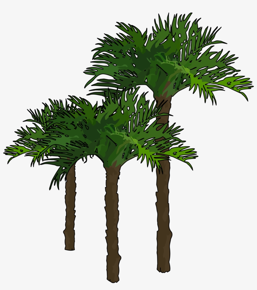 Palmeras - Palmeras Con Animales Png, transparent png