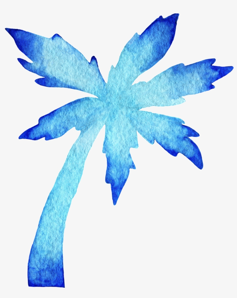 Palmera Png, transparent png