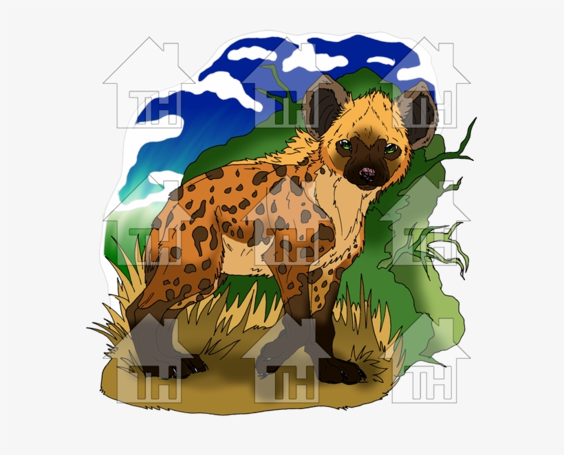Recent Images - Spotted Hyena, transparent png