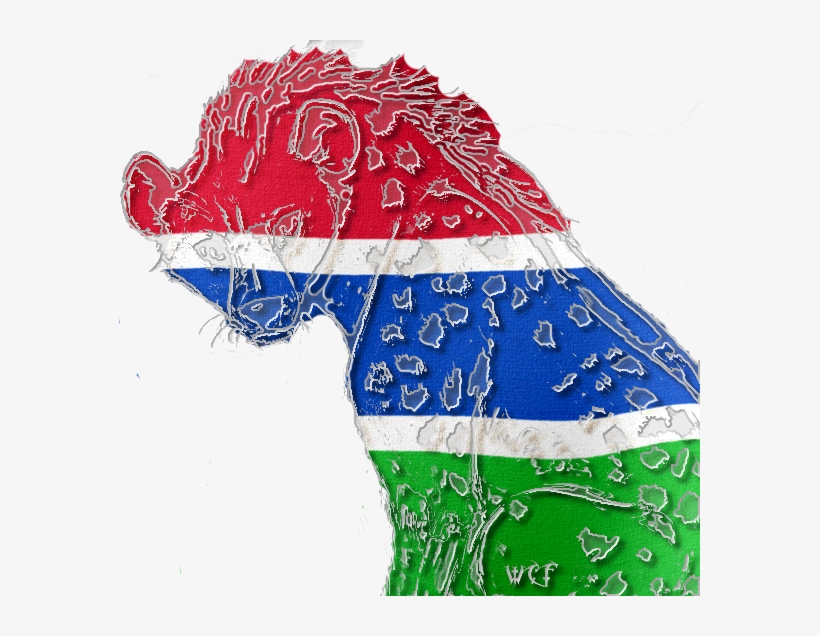 Lace, transparent png