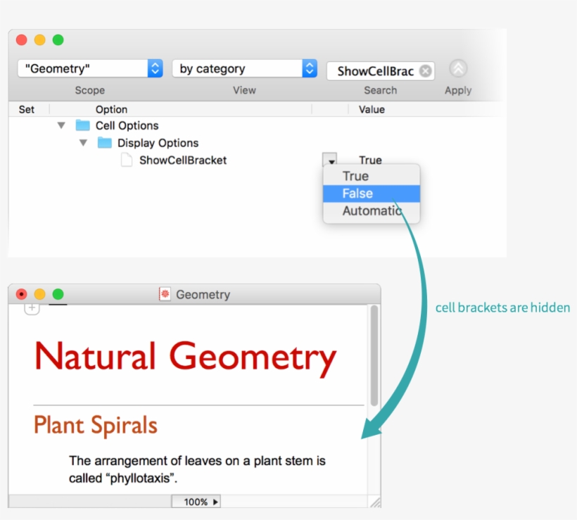 Choose False To Hide Cell Brackets Or Automatic To - Natura Bio Science, transparent png
