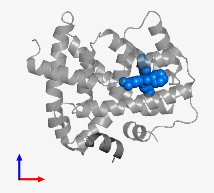 <div Class='caption-body'>pdb Entry 3oof Contains 1 - Jigsaw Puzzle, transparent png