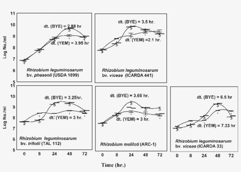 Comparision Of Growth Of Various Rhizobia Strains On - Diagram, transparent png