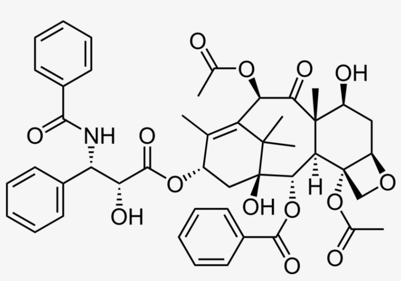 900 X 609 6 - Taxol Structure, transparent png