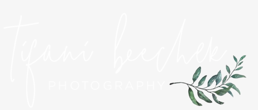 White Logo, transparent png
