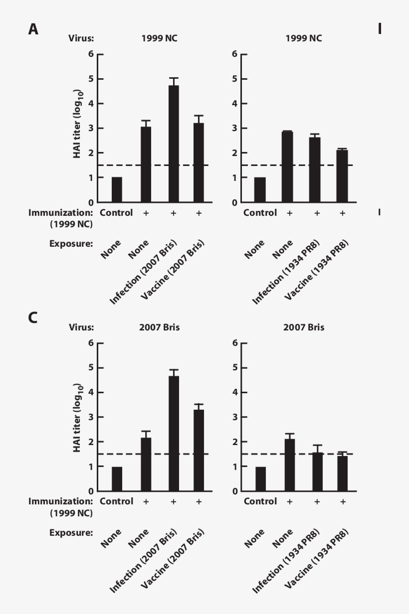 Hai Response In Uninfected, Previously Infected, Or - Diagram, transparent png