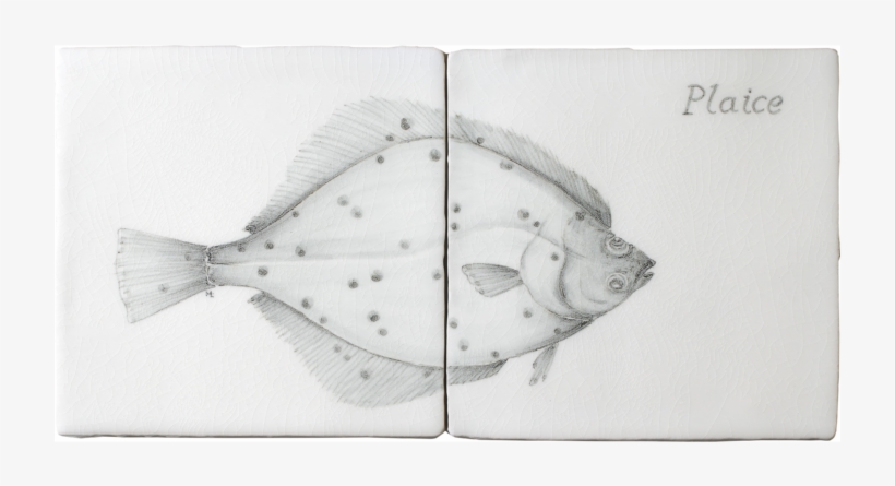 Fish 2 Panel - Halibut, transparent png