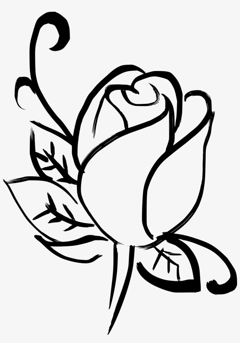 Drawn Rose Art - Drawn Roses, transparent png