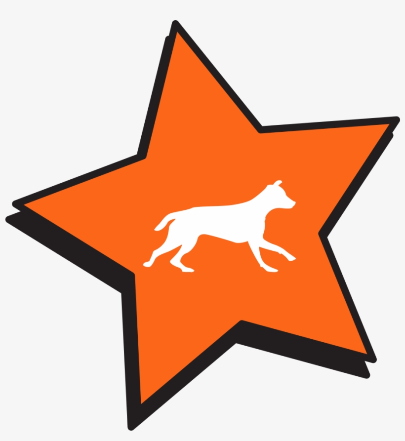 Icon Custom, transparent png