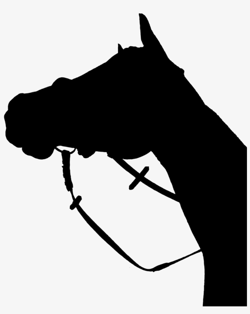 Horse Silhouette Black - Horse Head Low Angle, transparent png