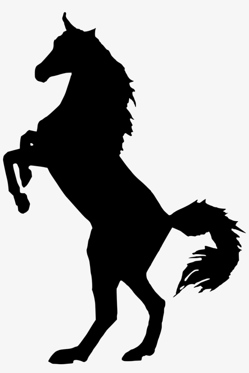 881 X 1280 4 - White Horse Png, transparent png