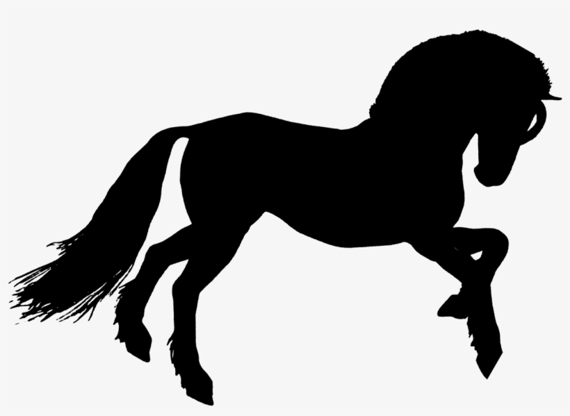 Horse Silhouette Wild - Stallion, transparent png