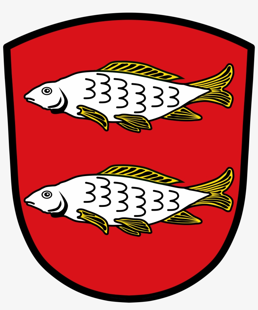 Open - Forchheim Logo, transparent png