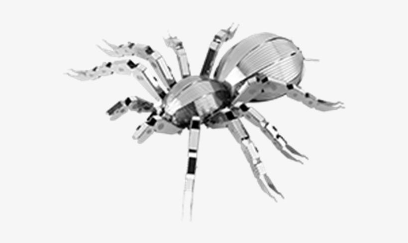 Metal Earth Online Store - Metal Earth Tarantula, transparent png