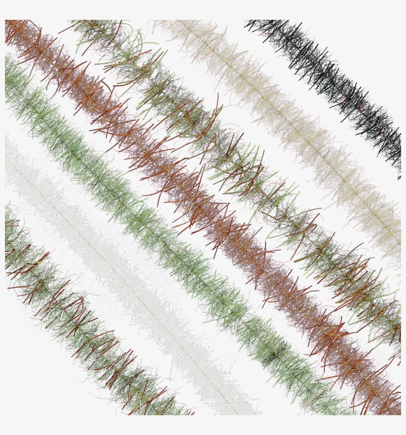 Enrico Puglisi's Tarantula Brushes - Cactus, transparent png
