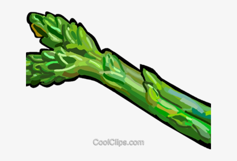 Clip Art, transparent png