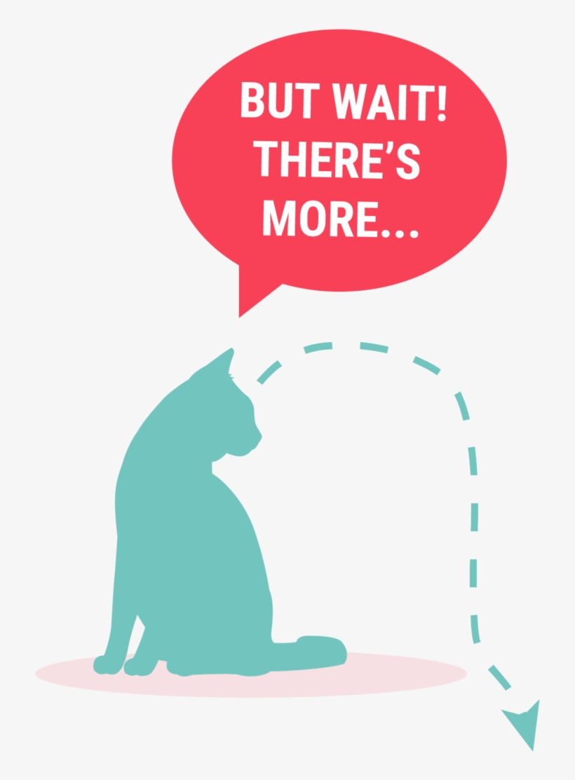 Wait More Kitty, transparent png