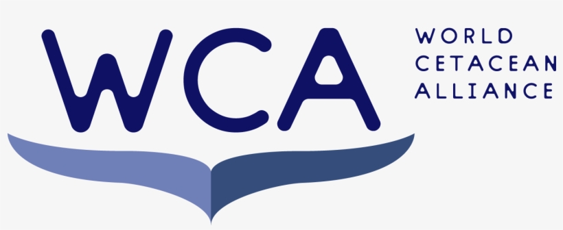 Logo - Sign, transparent png