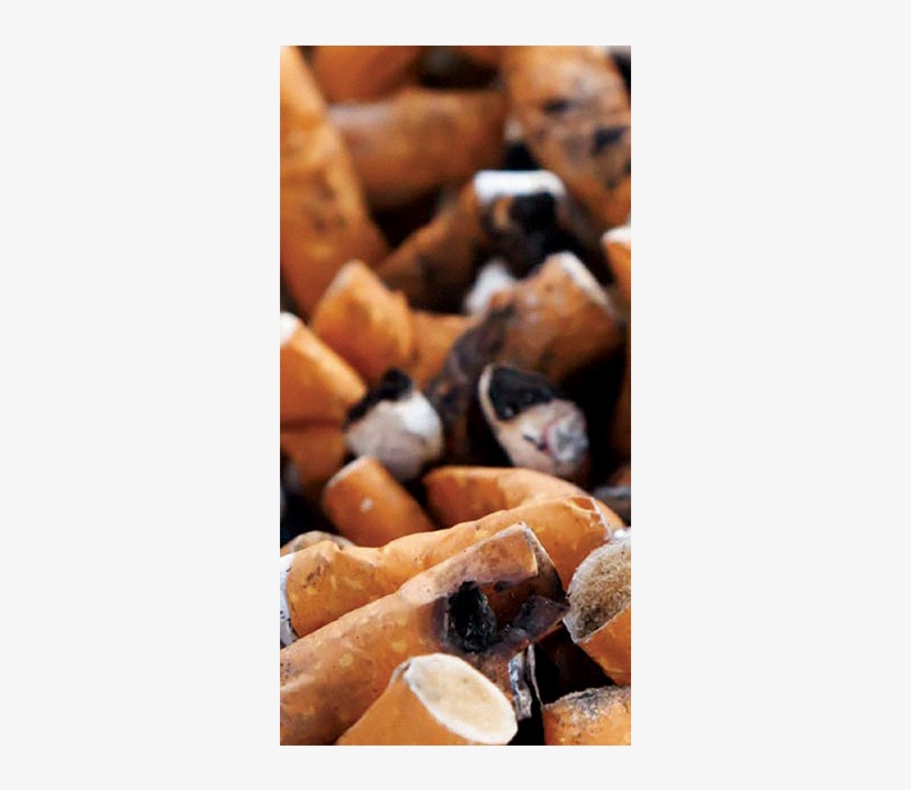 The Cost Of Smoking Is Not Just To Your Health - Cosas Que Producen Malos Olores, transparent png