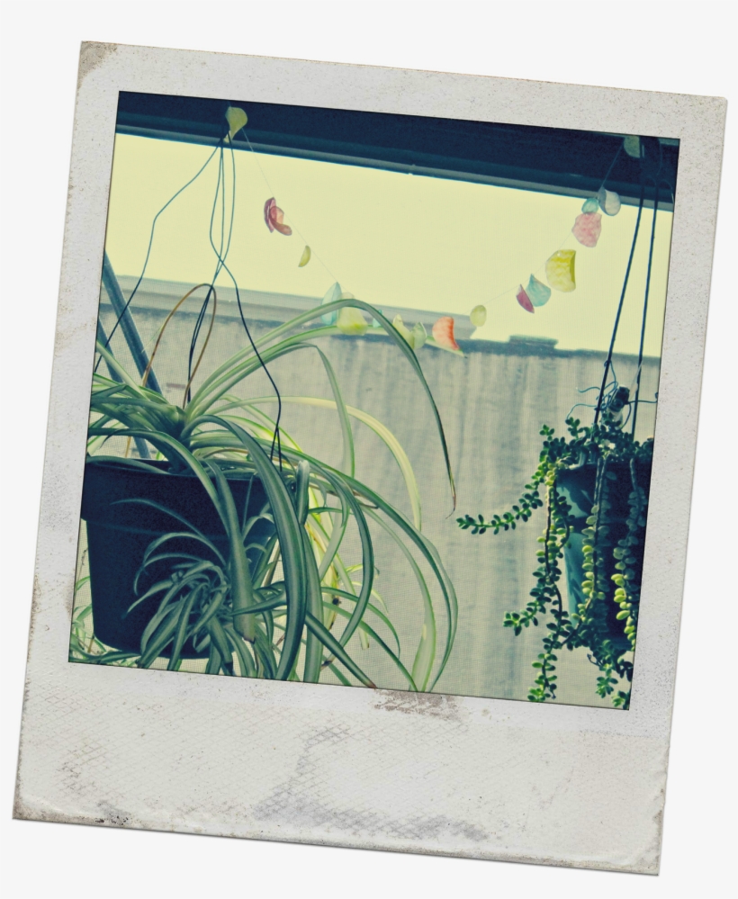 Picture Frame, transparent png