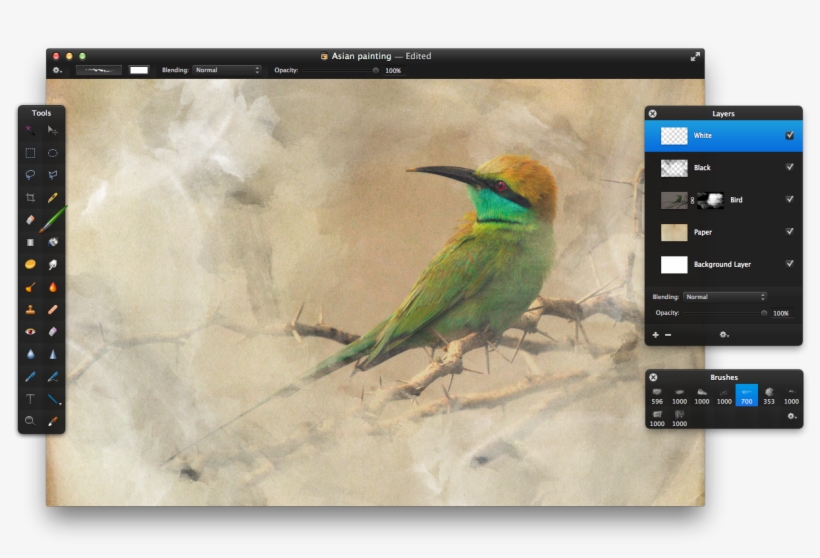 Select The Brush Tool And Fill The Layer With Strokes - Red Circle Blue Rectangle, transparent png