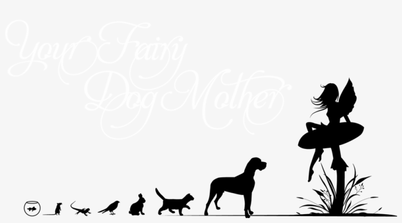 Services - Fairy Dogmother, transparent png