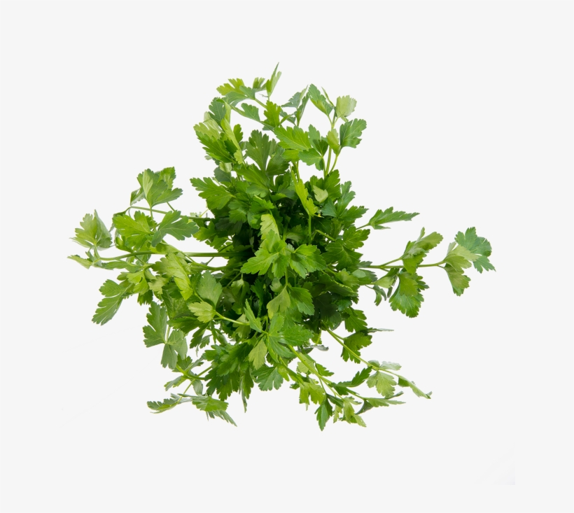 Flat Parsley - Parsley, transparent png