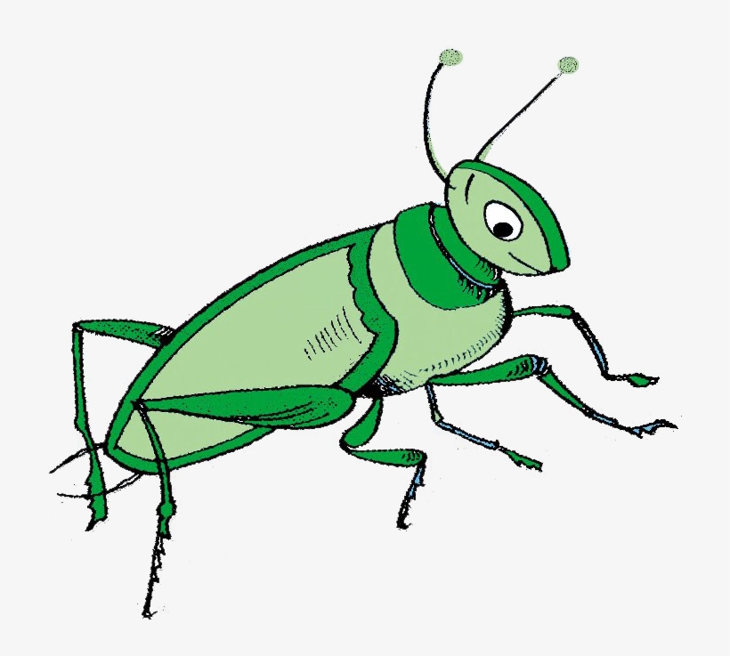 Grasshopper Language School - Membrane-winged Insect, transparent png