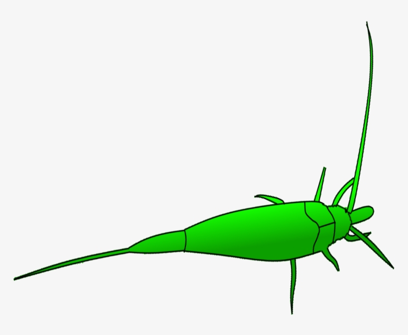 Grasshopper Clipart Dead - Dead Grasshopper Cartoon, transparent png