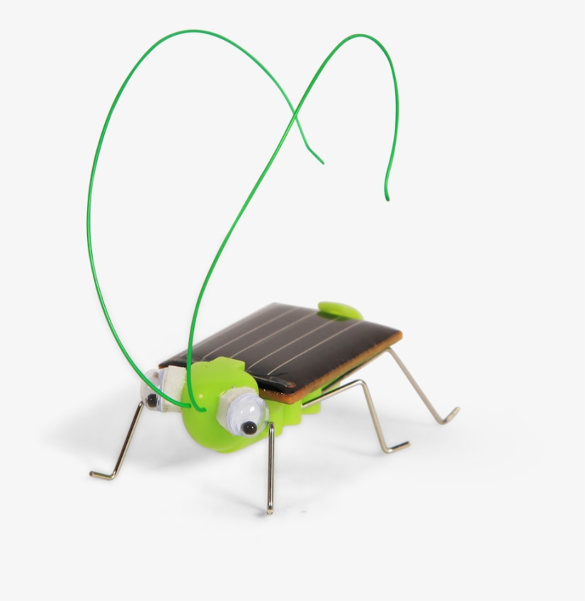 Solar Grasshopper Solar Grasshopper - Insect, transparent png