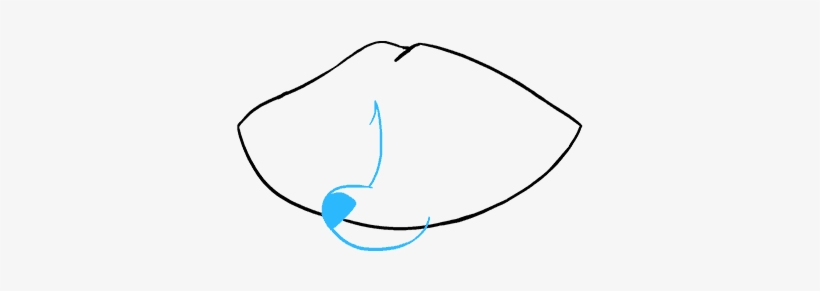 How To Draw Raccoon, transparent png