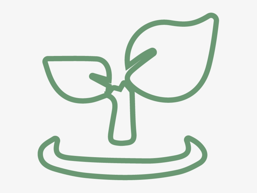 Leaf Outline, transparent png