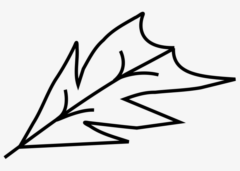 Contorno De La Hoja, transparent png