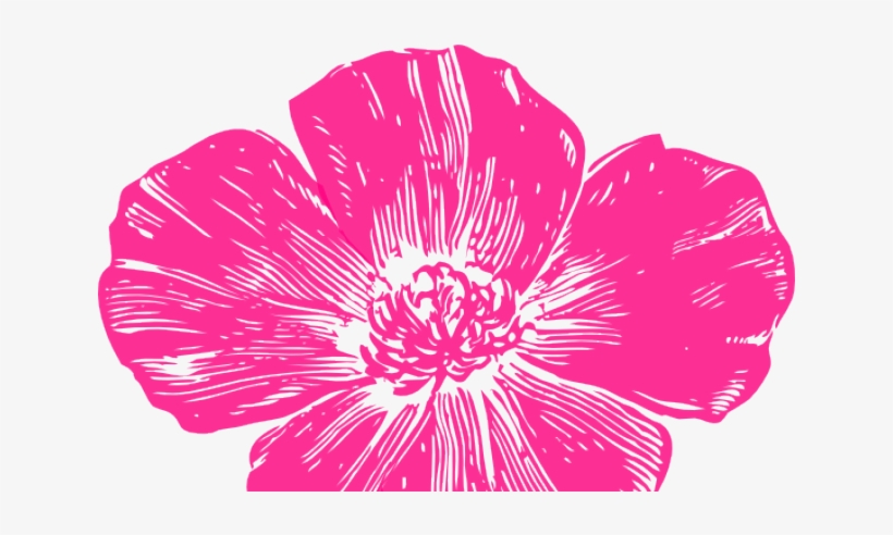 Petal Clipart Hot Pink Rose - California Poppy Transparent Background, transparent png