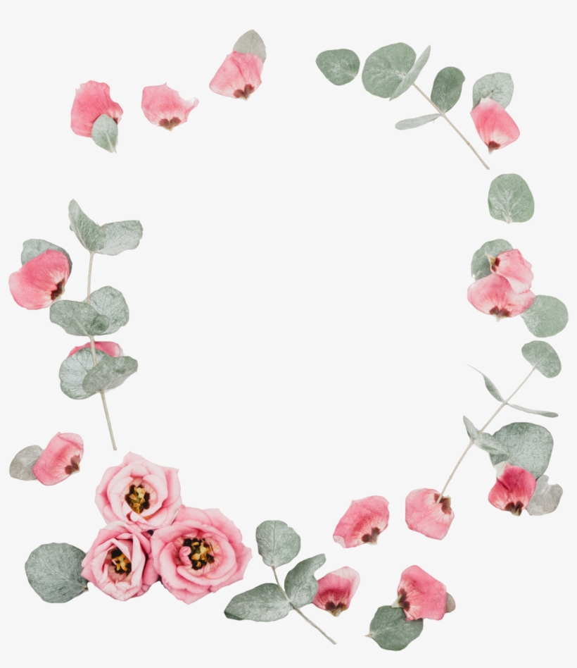 Pngs - My Wonderful Family, transparent png