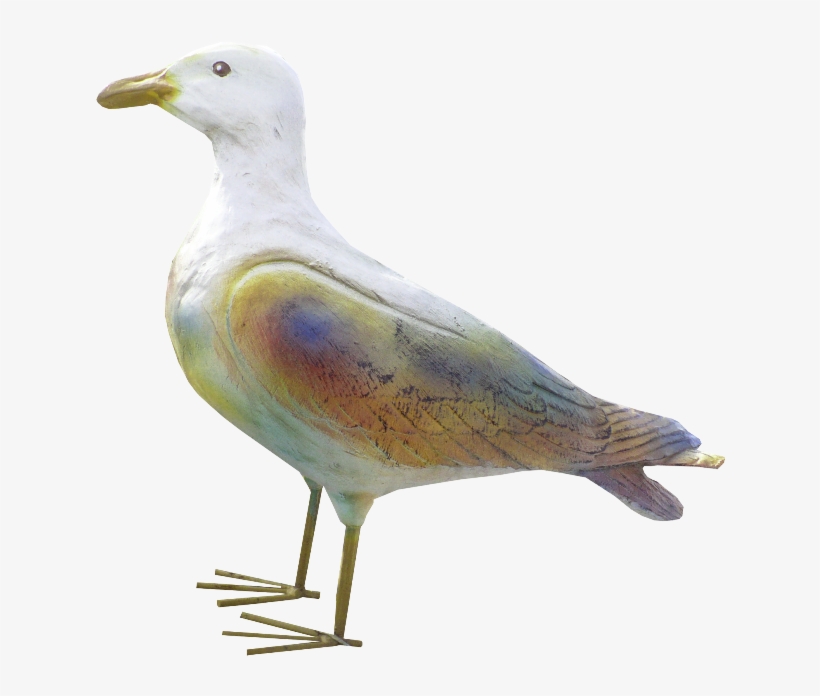 Seagulls - European Herring Gull, transparent png