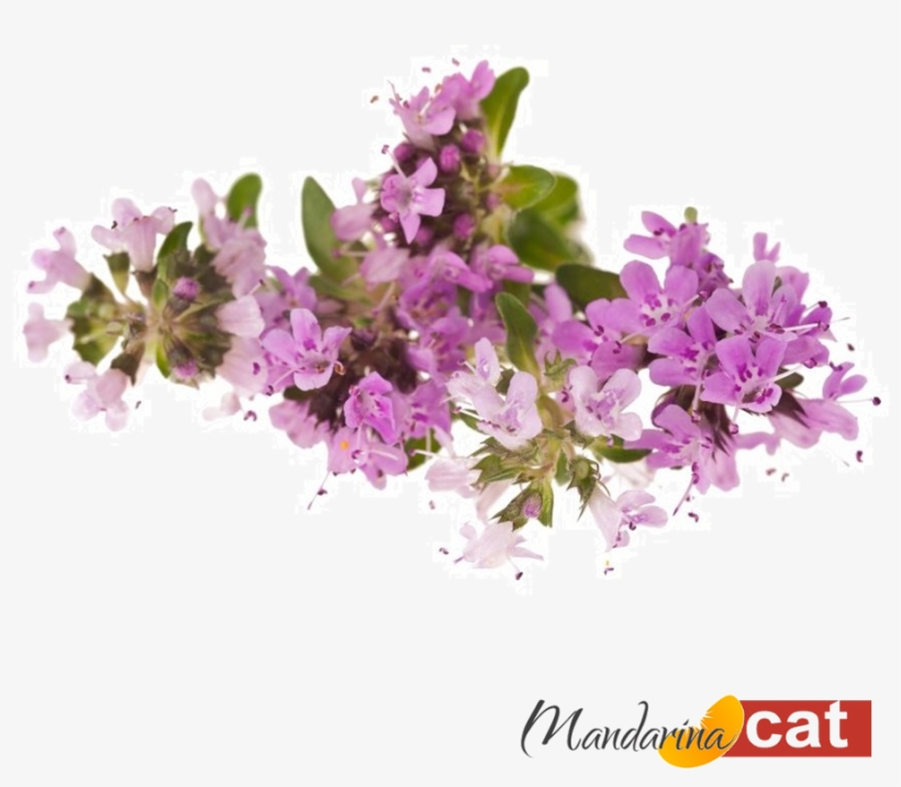 Cachos De Flores Png, transparent png