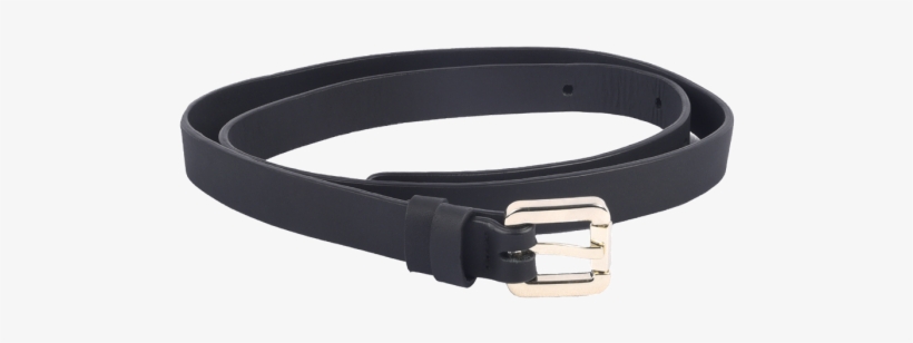 Buckle, transparent png