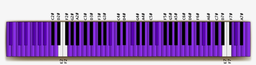 Every Effort Will Be Made To Ensure That This Piano - Musical Keyboard, transparent png