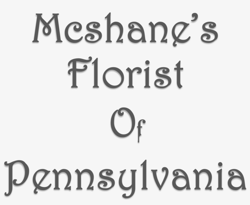 Mcshane's Florist Of Pennsylvania - Beauty, transparent png