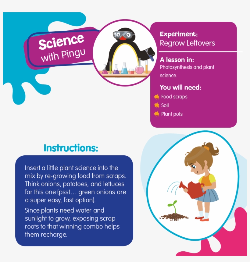 Pingu's English On Twitter - Cartoon, transparent png