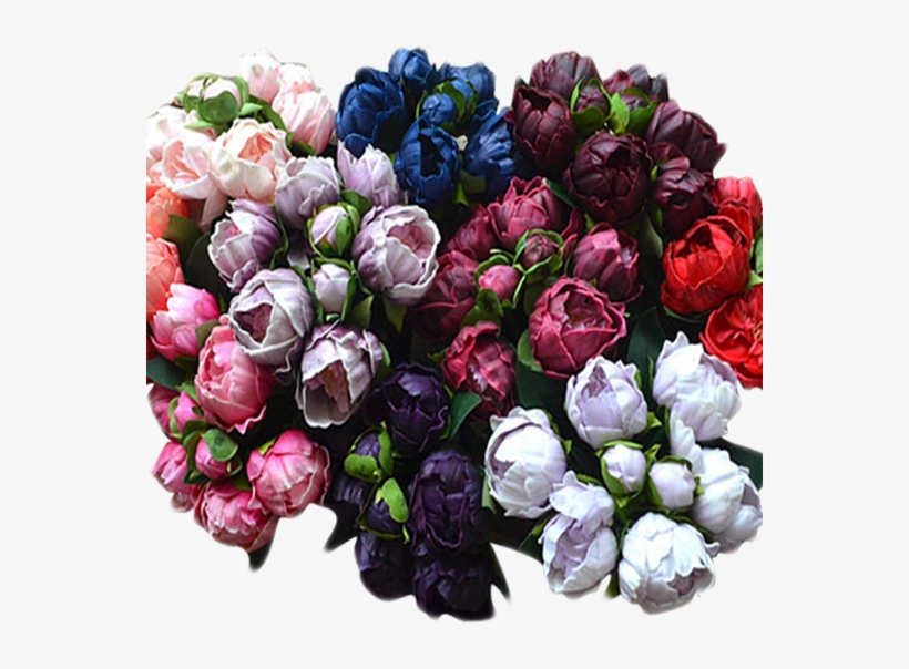 Peony - Garden Roses, transparent png