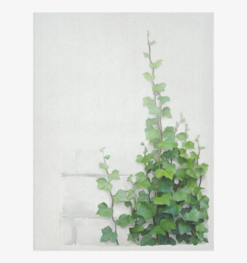 Watercolor Vines, Climbing Plant Cotton Linen Wall - Green Creeper Wall Painting, transparent png