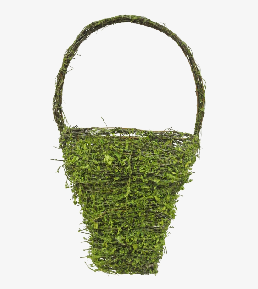 59807 - Moss, transparent png