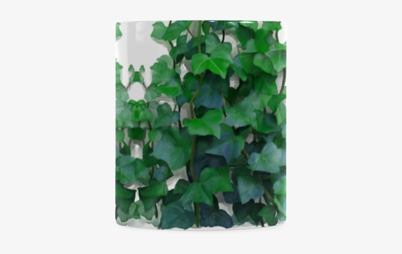 Violet Woodsorrel, transparent png