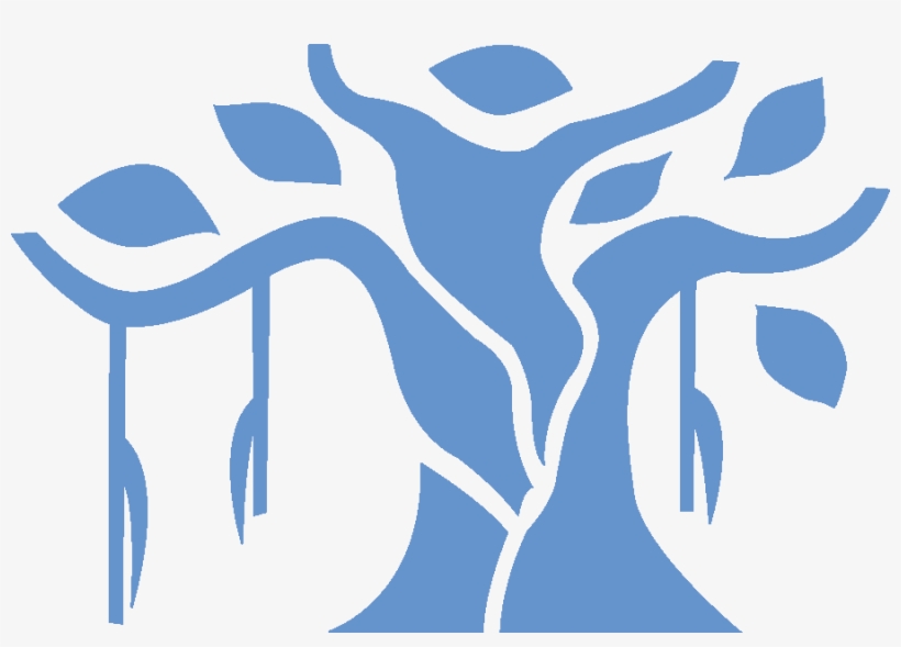 Banyan, transparent png