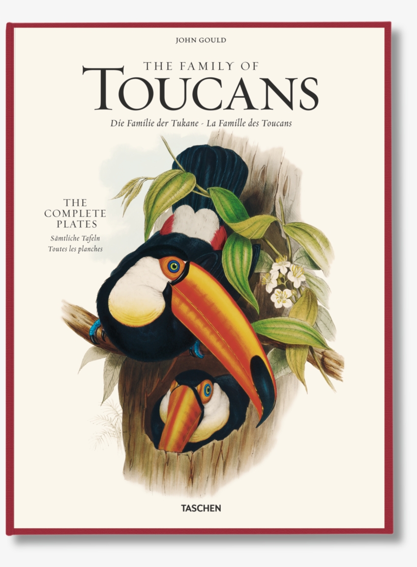 The Family Of Toucans - John Gould The Family Of Toucans, transparent png